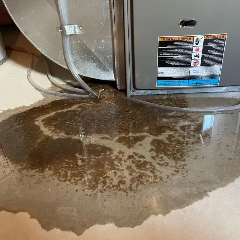Pipe Burst and Leak Restoration in Panorama Village, TX