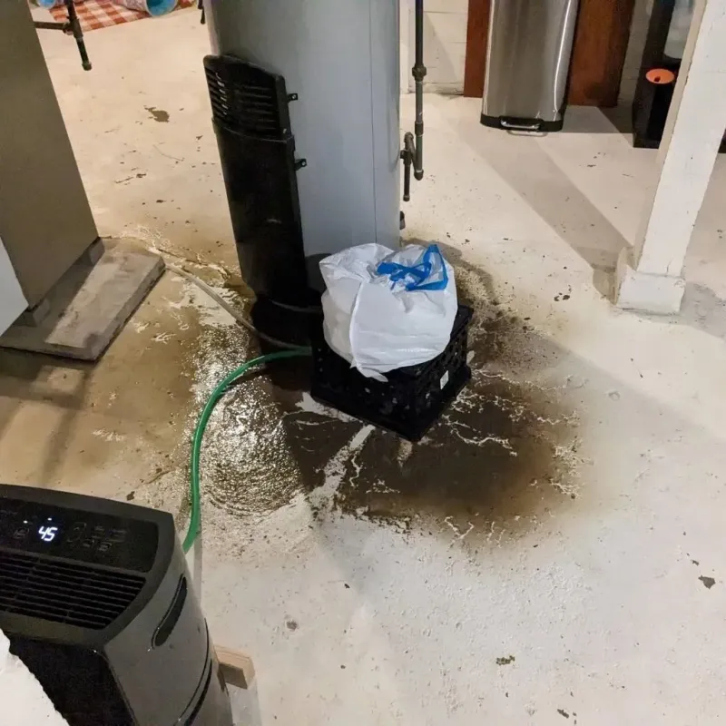 Sewage Backup Cleanup Service in Panorama Village, TX